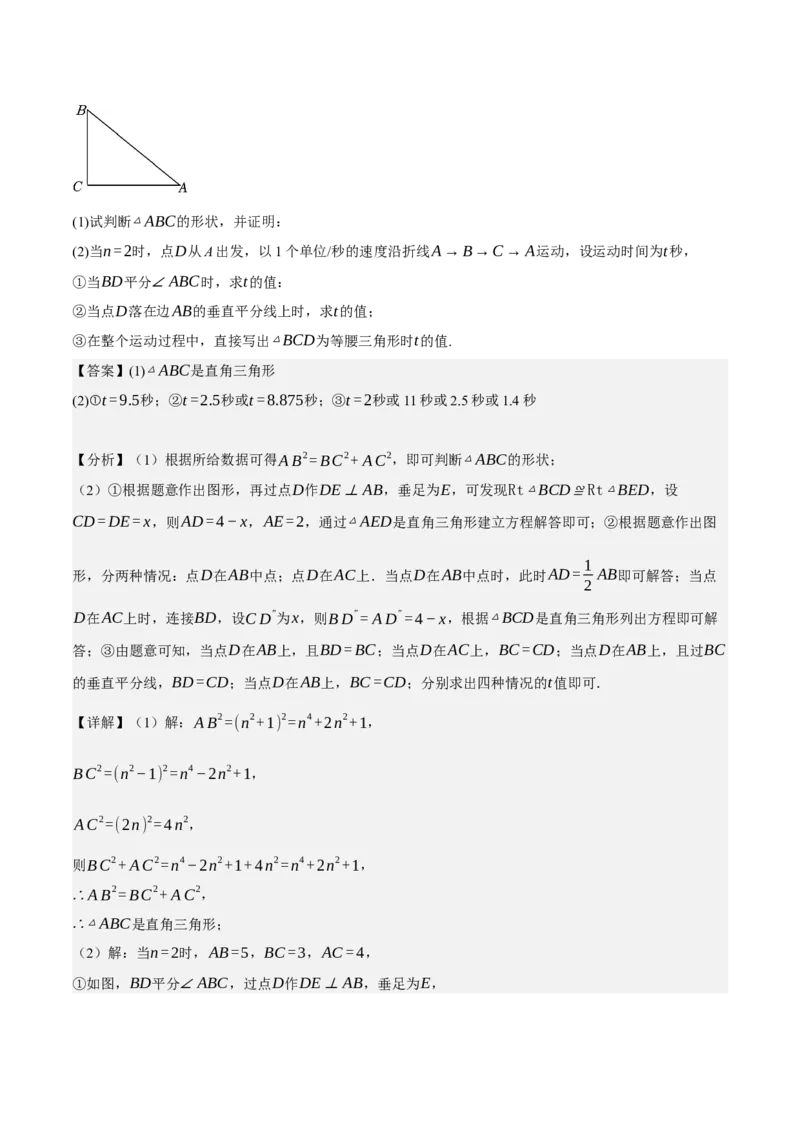 专题2.3勾股定理七大类型大题专练（分层培优42题，八下人教）-2023复习备考人教版（解析版）_初中数学人教版_八年级数学下册_保存转存之后查看(1)_旧版-可参考_06习题试卷