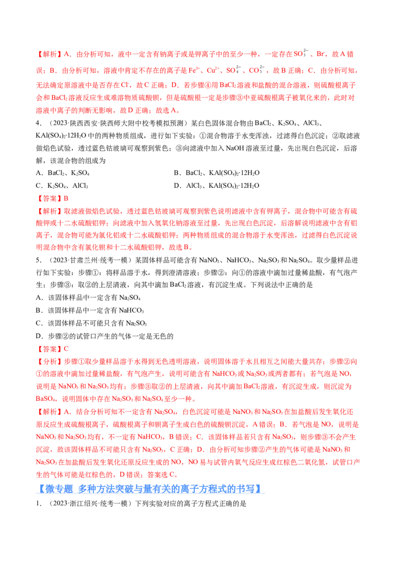 专题03离子反应（分层练）（解析版）_05高考化学_2024年新高考资料_2.2024二轮复习_高频考点2024年高考化学二轮复习高频考点追踪与预测（新高考专用）