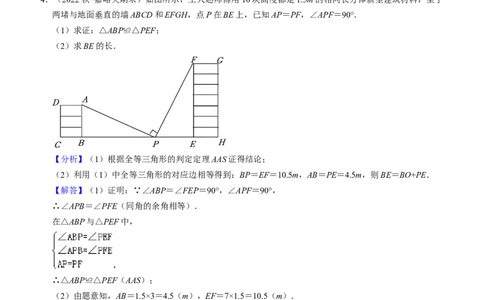 猜想02全等三角形（5种解题模型专练）（教师版）_初中数学_八年级数学上册（人教版）_期末专项复习-U276_2024版
