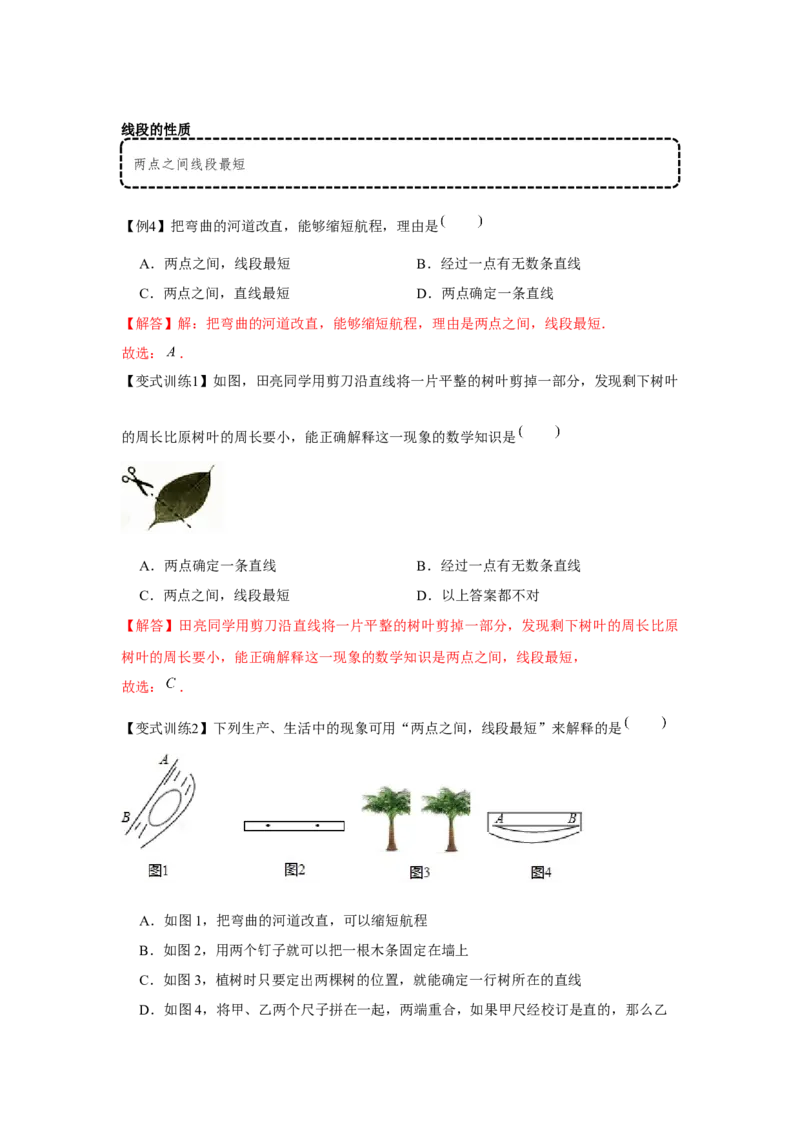 专题4.1基本平面图形（基础）（解析版）_初中数学人教版_7上-初中数学人教版_7上-初中数学人教版（旧版）赠送_06习题试卷_1同步练习_3题型分层练（基础+强化）