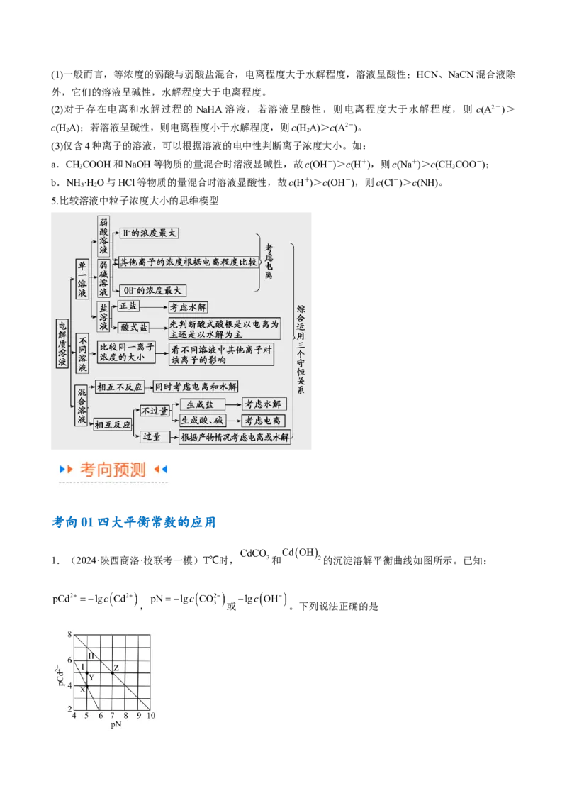 专题10水溶液中的离子反应与平衡（讲义）（解析版）_05高考化学_2024年新高考资料_2.2024二轮复习_高频考点2024年高考化学二轮复习高频考点追踪与预测（新高考专用）