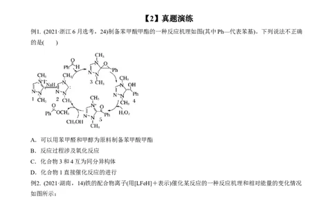 专项11催化剂、物质转化循环图-2023届高考化学二轮复习知识清单与专项练习（新高考专用）（原卷版）_05高考化学_新高考复习资料_2023年新高考资料_二轮复习_选择题