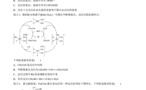 专项11催化剂、物质转化循环图-2023届高考化学二轮复习知识清单与专项练习（新高考专用）（原卷版）_05高考化学_新高考复习资料_2023年新高考资料_二轮复习_选择题