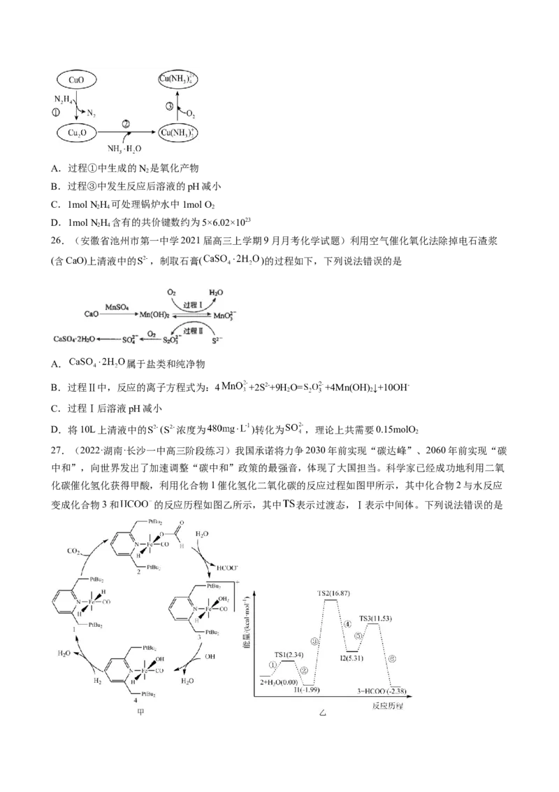 专项11催化剂、物质转化循环图-2023届高考化学二轮复习知识清单与专项练习（新高考专用）（原卷版）_05高考化学_新高考复习资料_2023年新高考资料_二轮复习_选择题
