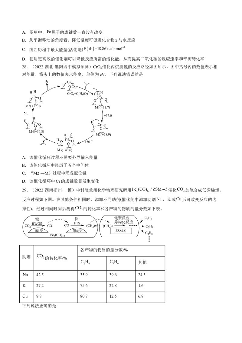 专项11催化剂、物质转化循环图-2023届高考化学二轮复习知识清单与专项练习（新高考专用）（原卷版）_05高考化学_新高考复习资料_2023年新高考资料_二轮复习_选择题