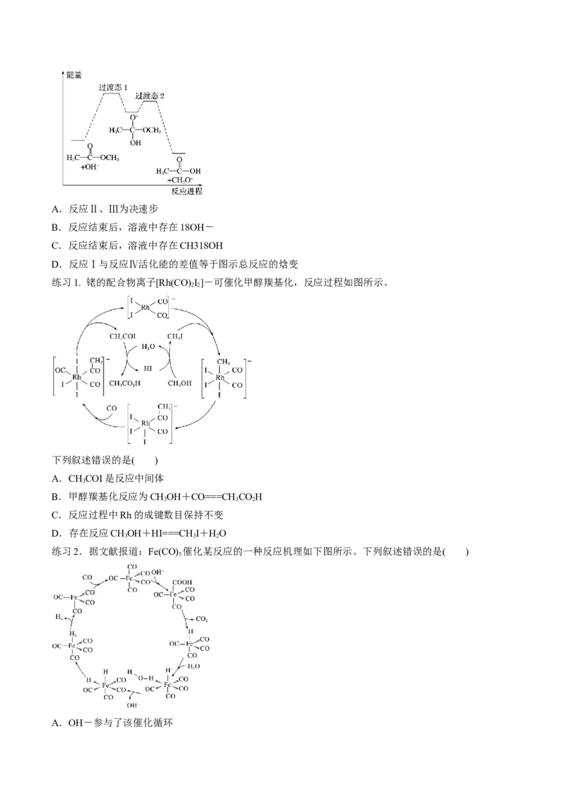 专项11催化剂、物质转化循环图-2023届高考化学二轮复习知识清单与专项练习（新高考专用）（原卷版）_05高考化学_新高考复习资料_2023年新高考资料_二轮复习_选择题