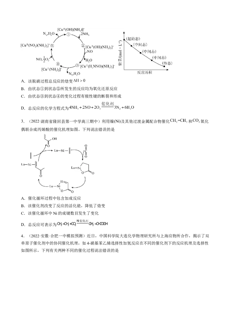 专项11催化剂、物质转化循环图-2023届高考化学二轮复习知识清单与专项练习（新高考专用）（原卷版）_05高考化学_新高考复习资料_2023年新高考资料_二轮复习_选择题