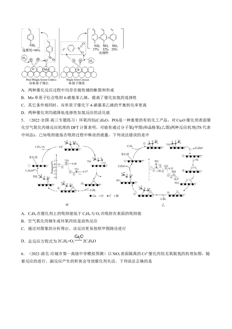 专项11催化剂、物质转化循环图-2023届高考化学二轮复习知识清单与专项练习（新高考专用）（原卷版）_05高考化学_新高考复习资料_2023年新高考资料_二轮复习_选择题