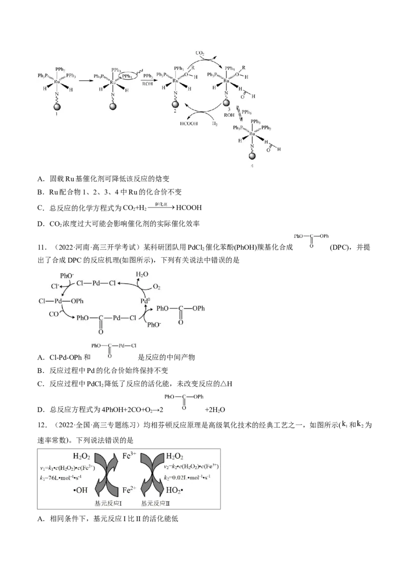 专项11催化剂、物质转化循环图-2023届高考化学二轮复习知识清单与专项练习（新高考专用）（原卷版）_05高考化学_新高考复习资料_2023年新高考资料_二轮复习_选择题