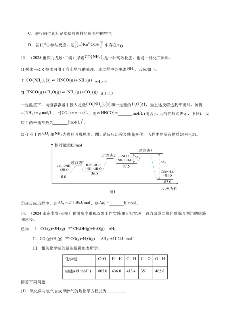 专题20化学反应机理与反应历程图像分析（原卷版）-备战2025年高考化学二轮&middot;突破提升专题复习讲义（新高考通用）_05高考化学_2025年新高考资料_二轮复习