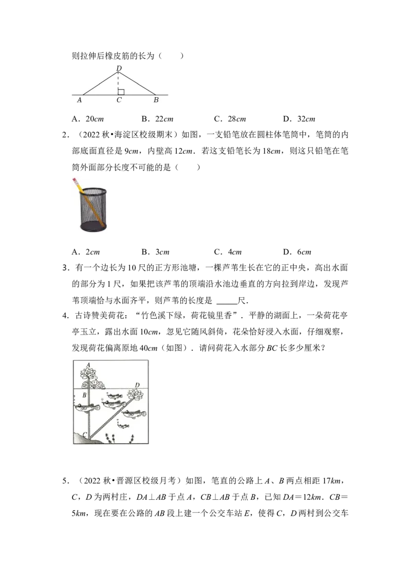 专题11勾股定理之风吹荷花模型综合应用（2大类型）（原卷版）_初中数学人教版_八年级数学下册_保存转存之后查看(1)_8下-初中数学人教版（2026春新版持续更新）_旧版-可参考_06习题试卷