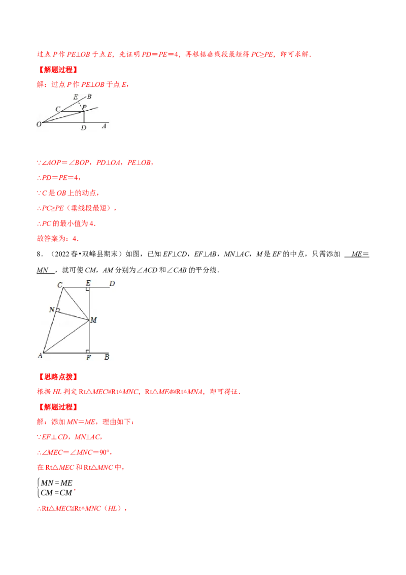 专题12.3角平分线模型（压轴题专项讲练）（人教版）（解析版）_初中数学人教版_8上-初中数学人教版_旧版_07专项讲练_八年级数学上册从重点到压轴（人教版）