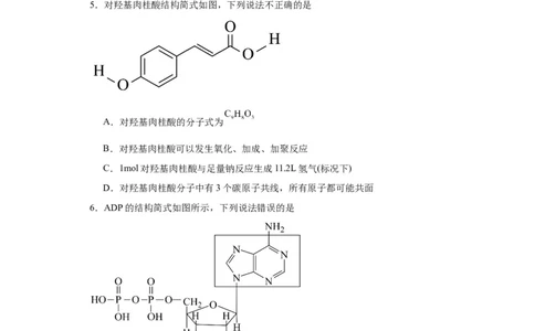 专项训练有机物中原子的共面共线（原卷版）_05高考化学_新高考复习资料_2024年新高考资料_一轮复习资料_2024届高三化学一轮复习&mdash;专项训练