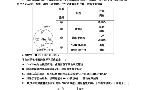 2025年高考复习化学课时检测二十：氯及其化合物的基本知能评价（含解析）_05高考化学_2025年新高考资料_专项练习_2025年高考复习化学课时检测（含解析）（完结）