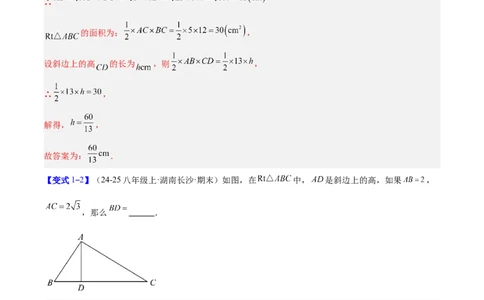 专题06利用勾股定理解决与面积有关问题的四类综合题型（压轴题专项训练）（解析版）_初中数学人教版_八年级数学下册_保存转存之后查看(1)_2026春季新版-持续更新中_第二套-知