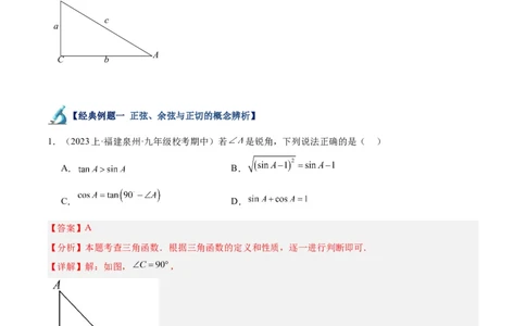 专题11锐角三角函数重难点题型专训（7大题型）（解析版）_初中数学人教版_9下-初中数学人教版_07专项讲练_2023-2024学年九年级数学全册重难点专题提升精讲精练（人教版）_九年级下册