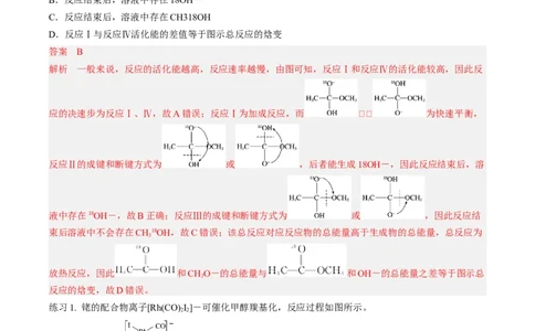 专项11催化剂、物质转化循环图-2023届高考化学二轮复习知识清单与专项练习（新高考专用）（解析版）_05高考化学_新高考复习资料_2023年新高考资料_二轮复习_选择题