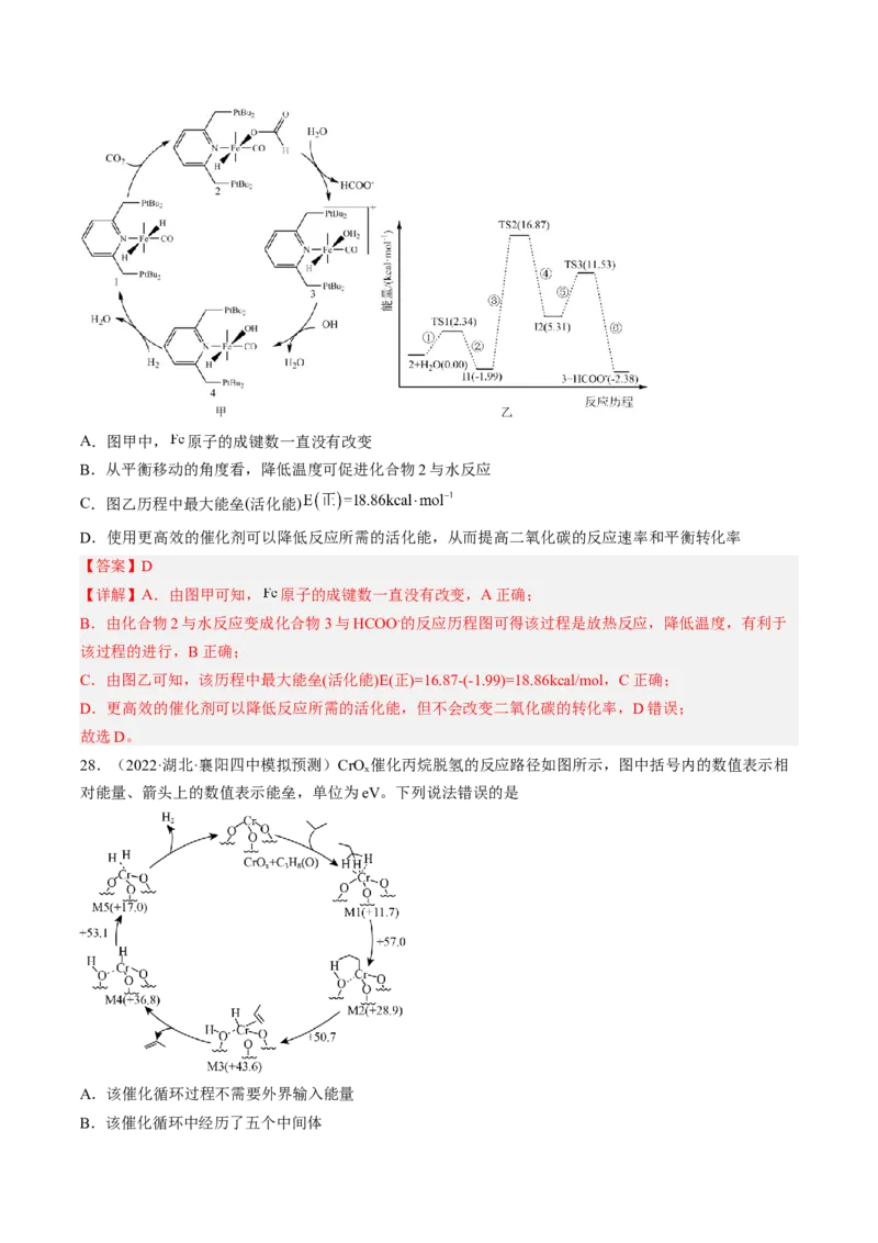 专项11催化剂、物质转化循环图-2023届高考化学二轮复习知识清单与专项练习（新高考专用）（解析版）_05高考化学_新高考复习资料_2023年新高考资料_二轮复习_选择题
