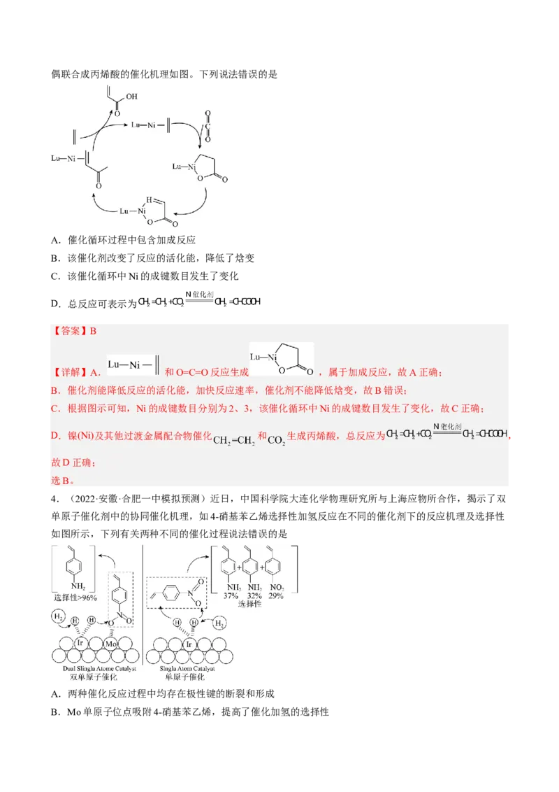 专项11催化剂、物质转化循环图-2023届高考化学二轮复习知识清单与专项练习（新高考专用）（解析版）_05高考化学_新高考复习资料_2023年新高考资料_二轮复习_选择题