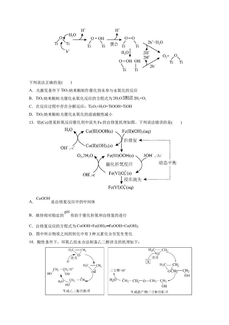 热点专项反应机理与反应过程分析（原卷版）_05高考化学_2025年新高考资料_二轮复习_上好课2025年高考化学二轮复习讲练测（新高考通用）3379109_主题三化学反应原理