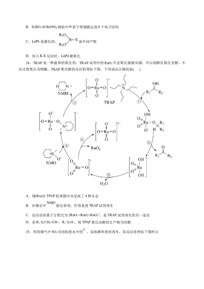 热点专项反应机理与反应过程分析（原卷版）_05高考化学_2025年新高考资料_二轮复习_上好课2025年高考化学二轮复习讲练测（新高考通用）3379109_主题三化学反应原理