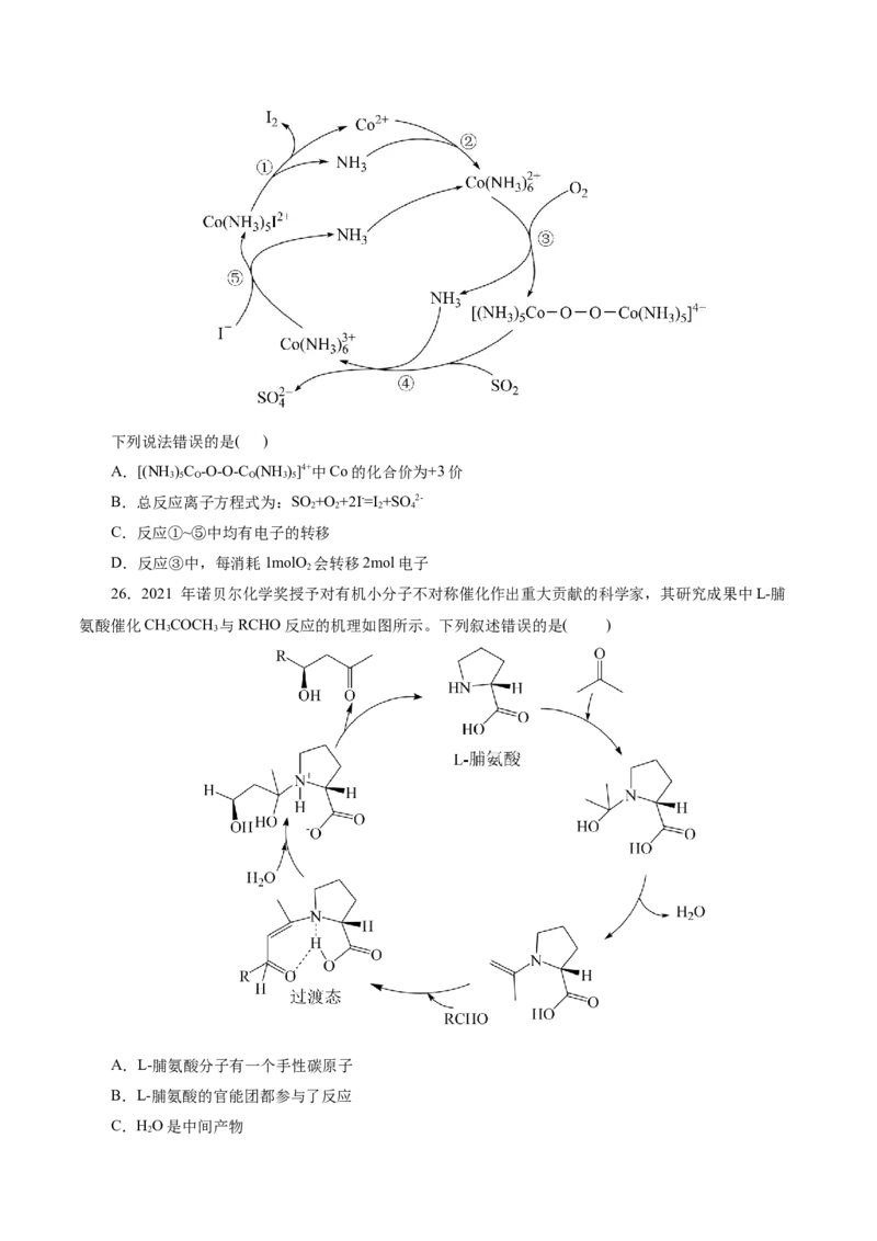 热点专项反应机理与反应过程分析（原卷版）_05高考化学_2025年新高考资料_二轮复习_上好课2025年高考化学二轮复习讲练测（新高考通用）3379109_主题三化学反应原理