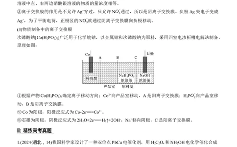 专题四　选择题专攻3　电化学中的多室、多池装置淘宝店：红太阳资料库_05高考化学_2025年新高考资料_二轮复习_2025年高考化学大二轮_2025化学二轮复习_专题四　电化学