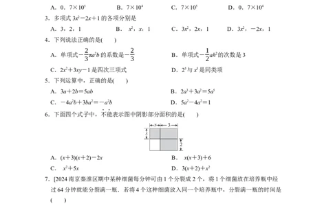 期中综合素质评价（含答案）人教版（2024）数学七年级上册_初中数学人教版_7上-初中数学人教版_7上-初中数学人教版（新版）_06习题试卷_期中试卷