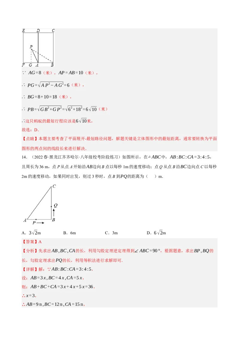 专题6.2考前必做30题之勾股定理小题培优提升（压轴篇，八下人教）-2023复习备考（解析版）人教版_初中数学人教版_八年级数学下册_保存转存之后查看(1)_旧版-可参考_06习题试卷