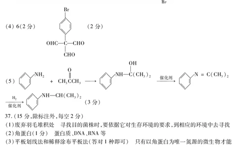 理综答案_05高考化学_高考模拟题_全国课标版_2023届四川省内江市高三第一次模拟考试理综_2023届四川省内江市高三第一次模拟考试理综