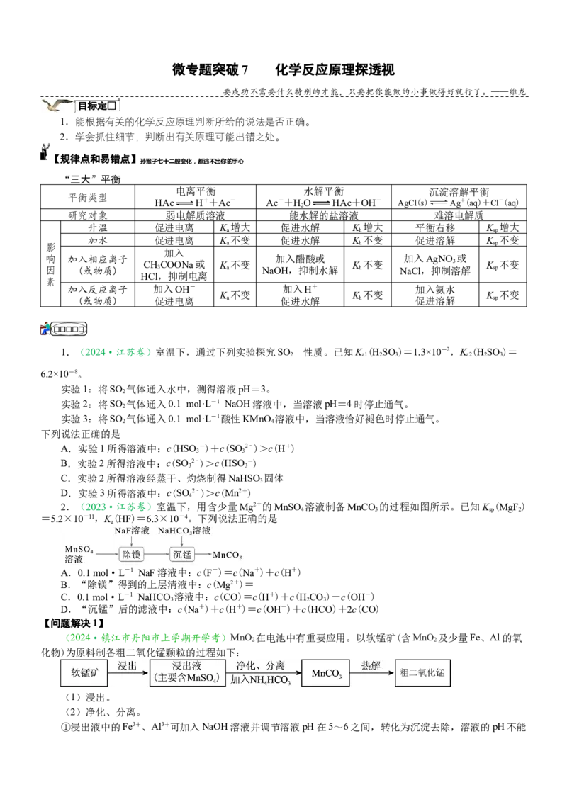 微专题突破09化学反应原理透视（学案）（学生版）_05高考化学_2025年新高考资料_二轮复习_01高考语文等多个文件_2025年高考化学二轮复习重点微专题突破学案（新高考专用）