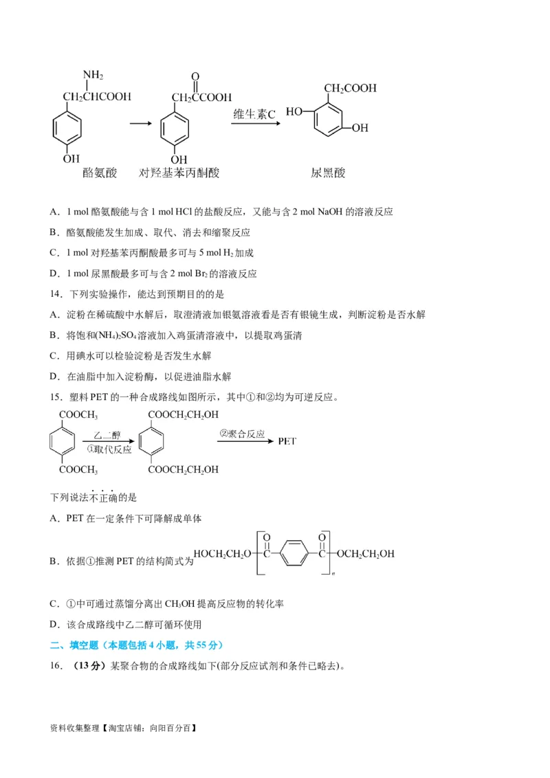 专题突破卷11有机化学基础（二）（原卷版）_05高考化学_新高考复习资料_2024年新高考资料_一轮复习资料_完2024年高考化学一轮复习考点通关卷（新高考通用）_专题突破卷