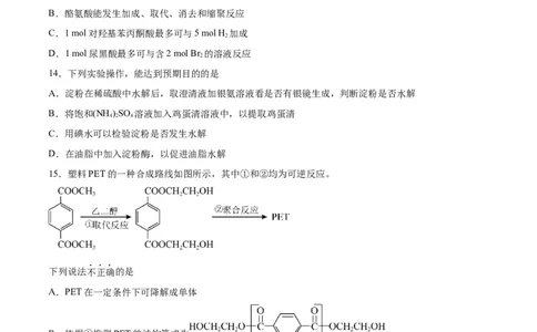 专题突破卷11有机化学基础（二）（原卷版）_05高考化学_新高考复习资料_2024年新高考资料_一轮复习资料_完2024年高考化学一轮复习考点通关卷（新高考通用）_专题突破卷