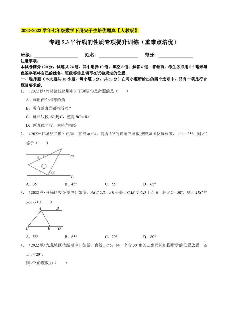 专题5.3平行线的性质专项提升训练（重难点培优）-拔尖特训2023培优（原卷版）人教版_初中数学人教版_7下-初中数学人教版_7下-初中数学人教版（旧版）赠送_07专项讲练
