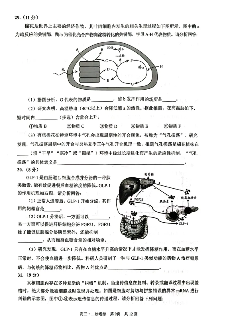 四川省泸州市2023届高三第二次教学质量诊断性考试理综试题公众号：一枚试卷君_05高考化学_高考模拟题_新高考_四川省泸州市2023届高三第二次教学质量诊断性考试理综试题（带答案）