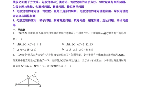 专题6.2考前必做30题之勾股定理小题培优提升（压轴篇，八下人教）-2023复习备考（原卷版）人教版_初中数学人教版_八年级数学下册_保存转存之后查看(1)_旧版-可参考_06习题试卷