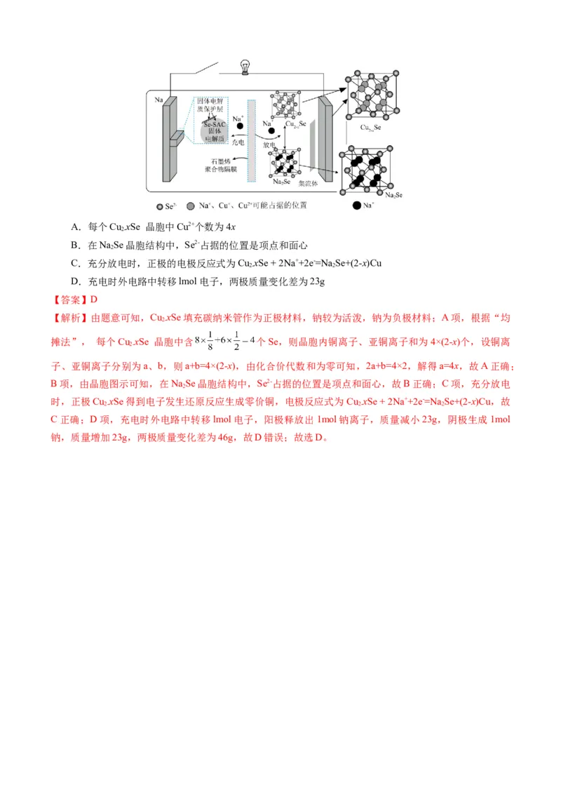 模板01电化学装置分析(解析版)_05高考化学_2025年新高考资料_二轮复习_2025年高考化学答题技巧与模板构建338868722_第一部分选择题突破