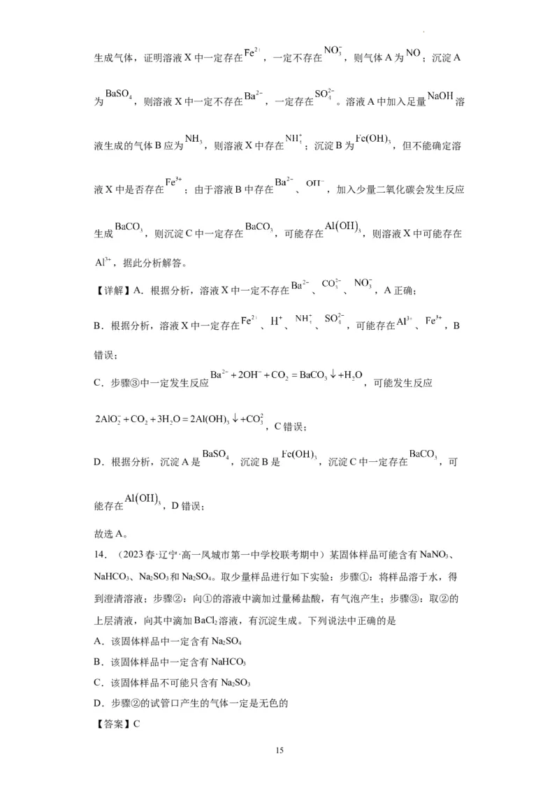 离子的检验和推断（解析版）_05高考化学_新高考复习资料_2024年新高考资料_一轮复习资料_2024届高三化学一轮复习&mdash;专项训练