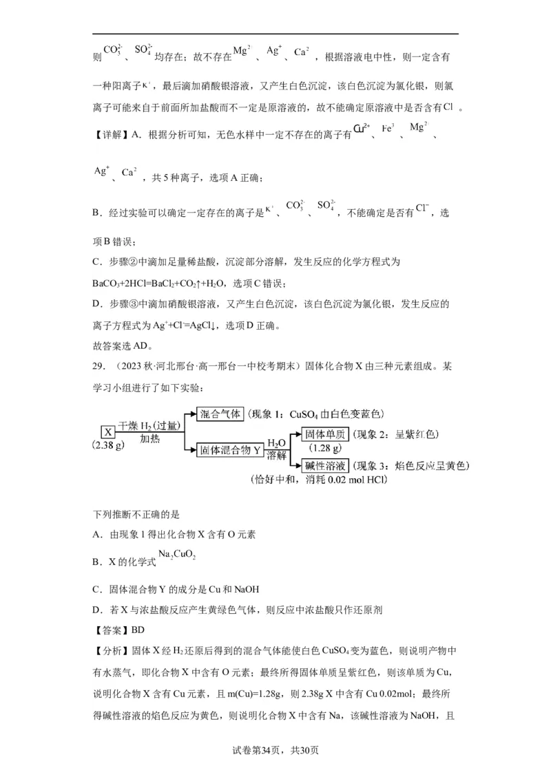 离子的检验和推断（解析版）_05高考化学_新高考复习资料_2024年新高考资料_一轮复习资料_2024届高三化学一轮复习&mdash;专项训练