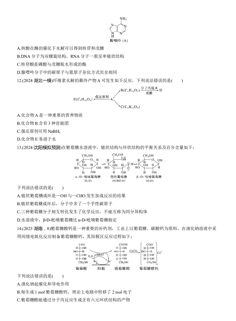 专题八　选择题专攻1　典型有机化合物的性质及应用淘宝店：红太阳资料库_05高考化学_2025年新高考资料_二轮复习_2025年高考化学大二轮_2025化学二轮复习_题型突破练+考前特训