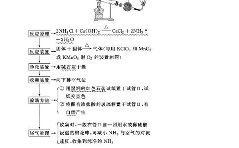 微专题27氯气、氨气、二氧化硫的实验室制备与应用-备战2022年高考化学考点微专题（解析版）_05高考化学_新高考复习资料_2022年新高考资料_备战2022年高考化学考点微专题