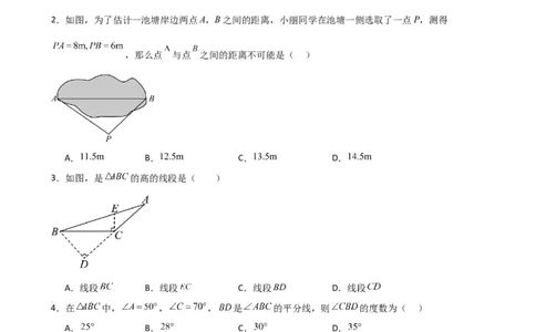 第11章三角形（单元测试&middot;基础卷）-（人教版）_初中数学_八年级数学上册（人教版）_专题突破练习-V4_2025版