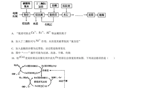 山东省青岛市23届高三上学期期初调研检测化学含答案_05高考化学_高考模拟题_新高考