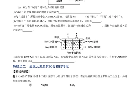 易错专题05金属元素及其化合物-2024年高考化学考前易错聚焦（原卷版）_05高考化学_2024年新高考资料_5.2024三轮冲刺_2024年高考化学考前易错聚焦