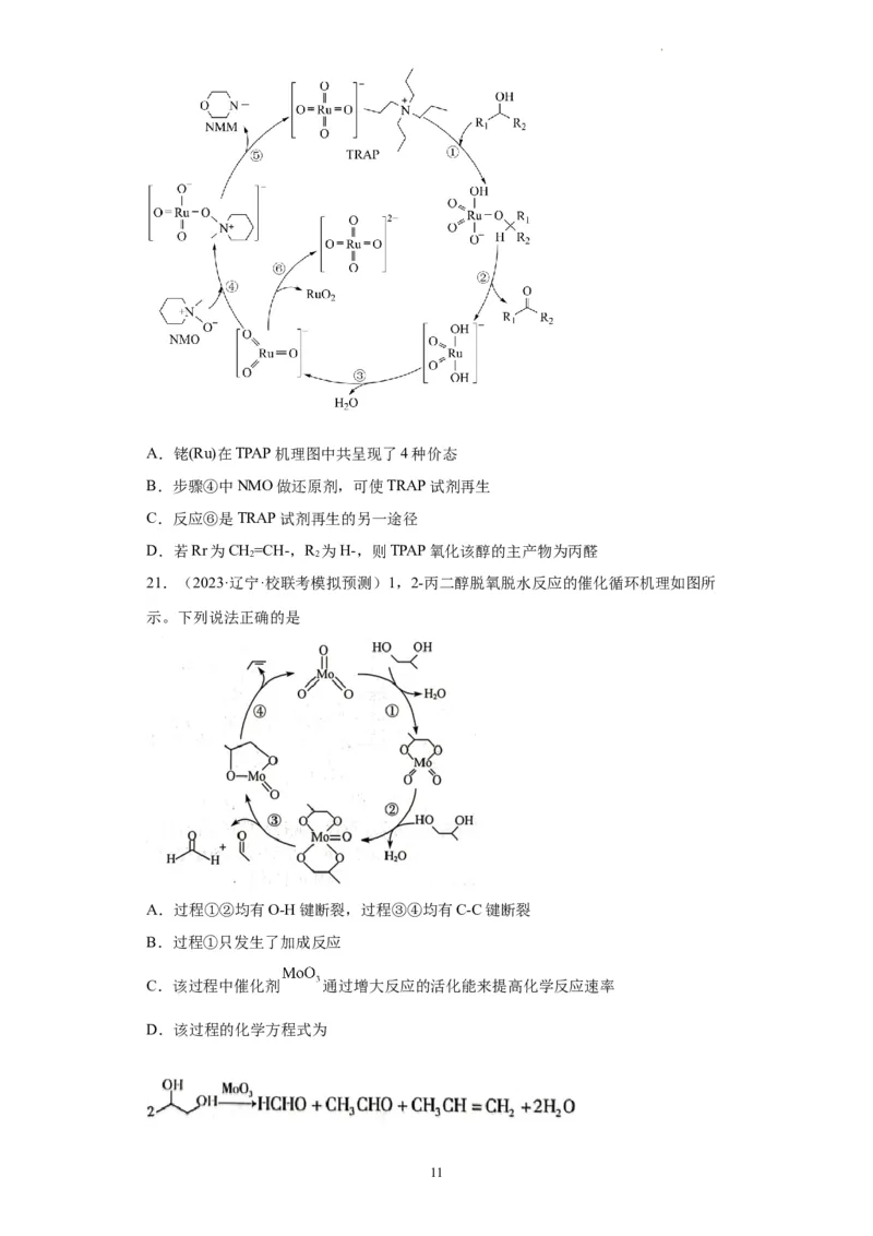 化学反应机理与催化剂（原卷版）_05高考化学_新高考复习资料_2024年新高考资料_一轮复习资料_2024届高三化学一轮复习&mdash;专项训练