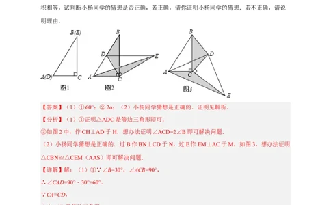 期中难点特训（一）旋转综合压轴题（解析版）_初中数学人教版_9上-初中数学人教版_06习题试卷_5专项练习