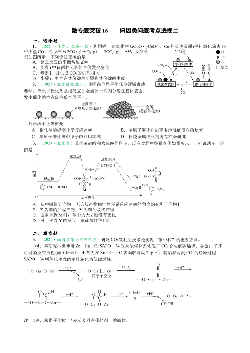 微专题突破16归因类问题考点透视（作业二）（学生版）_05高考化学_2025年新高考资料_二轮复习_01高考语文等多个文件_2025年高考化学二轮复习重点微专题突破学案（新高考专用）