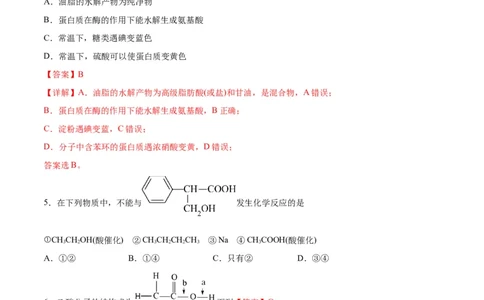 专题突破卷11有机化学基础（二）-2024年高考化学一轮复习考点通关卷（新教材新高考）（解析版）_05高考化学_2024年新高考资料_1.2024一轮复习