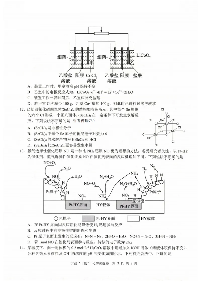 化学卷-2303宁波十校高三联考公众号：一枚试卷君_05高考化学_高考模拟题_新高考_化学-2303宁波十校高三3月联考_化学-2303宁波十校高三3月联考