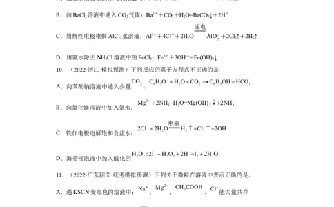 专题二离子共存与离子方程式（专练）-冲刺2023年高考化学二轮复习核心考点逐项突破（原卷版）_05高考化学_新高考复习资料_2023年新高考资料_二轮复习
